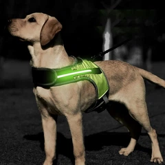 Шлея з підсвічуванням для собак DogClub Green