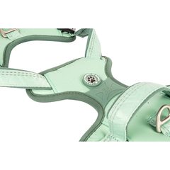Max & Molly Urban Pets Шлейки для собак Max & Molly Smart ID Sport Harness Matrix 2.0 Jade нефритового кольору, L