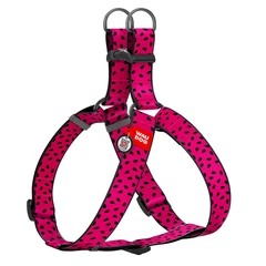 Шлея для собак WAUDOG Nylon з QR-паспортом, малюнок "Кавун", пластиковий фастекс, XL, Ш 35 мм, А=В 70-100 см