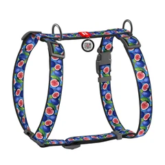 Шлея анатомічна з QR адресником WAUDOG Nylon малюнок "Інжир" S (4823089376684)