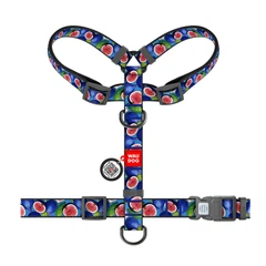 Шлея анатомічна з QR адресником WAUDOG Nylon малюнок "Інжир" S (4823089376684)