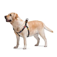 Шлейка для собак анатомічна WAUDOG Collar Nylon з QR паспортом розмір М малюнок NASA