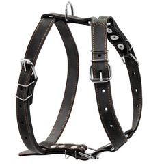 Шлея одинарна CoLLaR для середніх собак 25 мм х 49-68 см х 68-80 см Чорний (06381 Col)