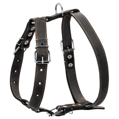 Шлея одинарна CoLLaR для середніх собак 25 мм х 49-68 см х 68-80 см Чорний (06381 Col)