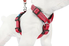 Шлея для собак Happet, Soft Style, S, червоний, 1.5 см, 28-42 см (JS62)
