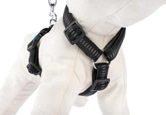 Шлея для собак Happet, Soft Style, XL, чорний, 2.5 см, 40-70 см (JS55)