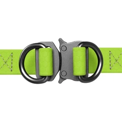 Collar Шлея для собак водостійкий WAUDOG, з QR паспортом, Ш 20 мм, Довжина 50-80 см салатова
