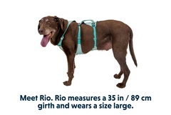 Легка шлейка для собак Ruffwear Flagline XXS 33-43 см Зелений