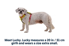 Полегшена шлейка для собак Ruffwear Hi & Light™ M 69-81 см Жовтий