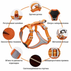 Без бренда Шлея для собак Duomm No-Pull з повідцем, регульована та світловідбивна помаранчевий, XL (294XL-ORANGE)