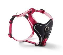Шлейка для собак пом'якшена Wolters Professional Comfort 2A 45-50 см / 25 мм Малиновий