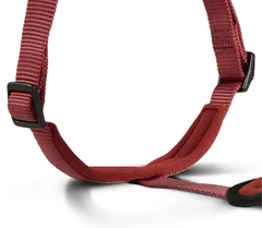 Шлейка для собак пом'якшена Wolters Professional Comfort 2A 45-50 см / 25 мм Бордовий