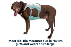 Охолоджувальна шлейка для собак Ruffwear Swamp Cooler™ XS 43-56 см Зелений