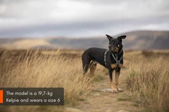 Non stop dogwear Шлейка для собак Line harness 5.0 Non-stop dogwear Зелений 4