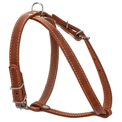 Шлея "CoLLaR" одинарна для малих порід собак (ширина 14 мм, А:40-48 см, В:43-51 см) коричневий