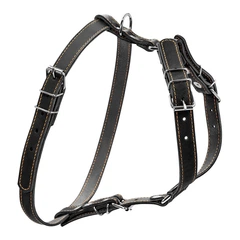 Шлея "CoLLaR" одинарна для дрібних і середніх собак (ширина 20 мм, А:40-56 см, В:57-65 см) чорний