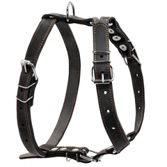 Шлея "CoLLaR" одинарна для середніх собак (ширина 25 мм, А:49-68 см, В:68-80 см) чорний