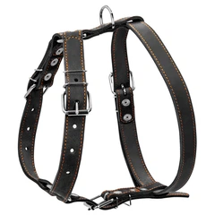 Шлея "CoLLaR" одинарна для середніх собак (ширина 25 мм, А:49-68 см, В:68-80 см) чорний