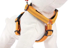 Шлея для собак Happet, Soft Style, XS, жовтогарячий, 1.5 см, 26-30 см (JS71)