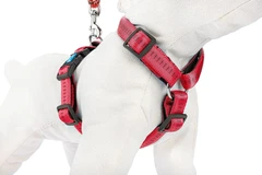 Шлея для собак Happet, Soft Style, XL, червоний, 2.5 см, 40-70 см (JS65)