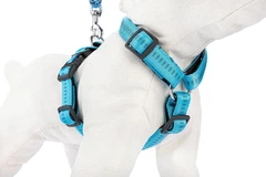 Шлея для собак Happet, Soft Style, XL, синій, 2.5 см, 40-70 см (JS70)