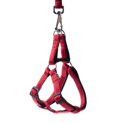 Шлея для собак Happet, Soft Style, S, червоний, 1 см, 24-34 см (JC31)