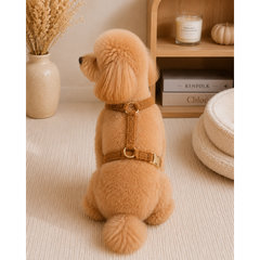 Без бренда Шлейка для собак Teddy Premium коричнева M Multibrand 000354673