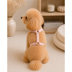 Без бренда Шлейка для собак Teddy Premium рожева S Multibrand (zoo0005533)