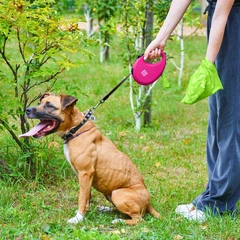 Повідець-рулетка для собак WAUDOG R-leash з контейнером для пакетів, світловідбивна стрічка, рожевий, розмір M, до 20 кг, 5 м (26287)