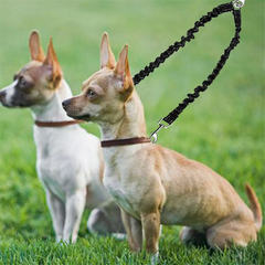 Повідець для 2-х собак Derby Dog Double Leash
