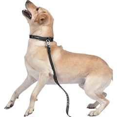 Повідець для собак DOGNESS, прогулянковий нашийник-ланцюг для собак, для середніх та великих собак, підходить для лабрадорів, коргі, золотистого ретривера, бордер-коллі, чорний L