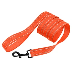 Повідець Для Собак Bronzedog Active Нейлоновий з Світловідображення Кораловий 25 мм 152 см (62/1224)