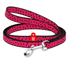 Повідець нейлоновий WAUDOG Nylon малюнок "Кавун" XS 5239 (4823089320687)