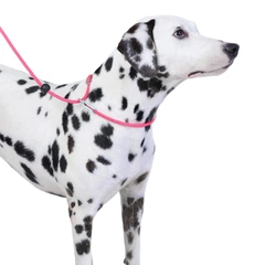 Без бренда Тренувальний повідець Maobawan Dog P-Rope Anti-Burst для собак, мотузка для грудної шлейки для малих, середніх і великих собак P Chain Y19 чорного кольору