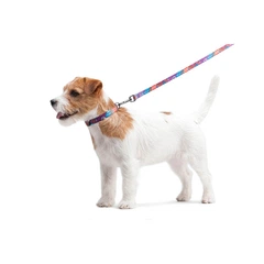 Повідець для собак нейлоновий WAUDOG Nylon, малюнок "Літо", Ш 15 мм, Довжина 122 см