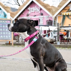 Max & Molly Urban Pets Повідець короткий для собак Max & Molly Short Leash Magical з принтом Магії, S