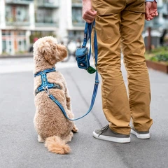 Повідець для собак регулюється Dog Copenhagen Urban Freestyle Leash дюна (S) 115 - 200 см