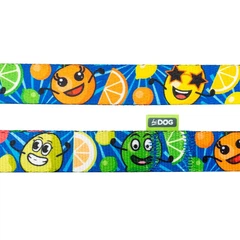 Hi Dog Повідець HiDOG Crazy blue fruits S 16мм 152см (121/1058)