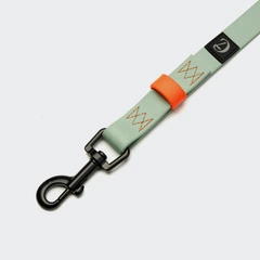 Біотановий повідець для собак Cloud7 Long Line Ipanema 10 м / 1.3 см М'ятний S