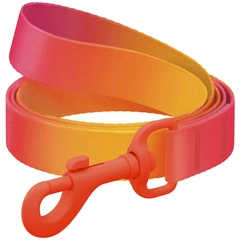Повідець для собак WAUDOG Nylon Recycled, градієнт, помаранчевий, S, 122 см, 15 мм, кольоровий карабін (47124)