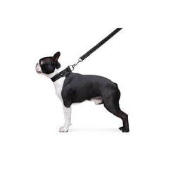 DOGextreme Повідець "Dog Extreme" з нейлону подвійний (ширина 20мм, довжина 122см), чорний (42981)