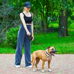 Повідець рулетка для собак WAUDOG R-leash L стрічковий 5 м до 40 кг чорний зі світловідбиваючою стрічкою та контейнером боксом для прибирання сміттєвих пакетів пластиковий повідець для великих та сере