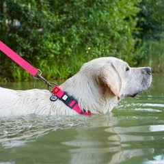 Нашийник для собак WAUDOG Waterproof з QR паспортом, водостійкий, пластикова пряжка-фастекс із замком, XL, 38-58 см 25 мм Рожевий (27777)