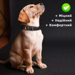 Villini Нашийник для маленьких собак шкіряний ошийник, розмір S, 41 см х 1.5 см, обхват 26-34 см, натуральна шкіра, коричневий