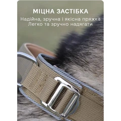 Нашийник для собак Fanxing Pet, з ручкою світловідбиваючий з металевою пряжкою, M (38-44см) Коричневий (223M-KHAKI)
