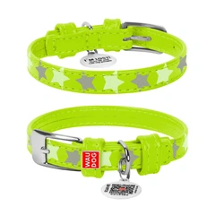 Нашийник WAUDOG Glamour з візерунком Зірочка Світиться 19-25 см 12 мм Салатовий (35835)