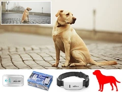 Tkstar Нашийник GPS Tracker Трекер для Собак, Полювання ТКSТАR, Модель: ТК-909, Вага 46г, Захист IP65