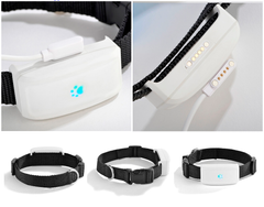 Tkstar Нашийник GPS Tracker Трекер для Собак ТКSТАR Модель: ТК-911, Вага 33гр., Захист IP66
