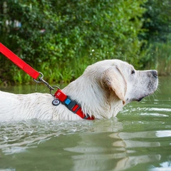Нашийник для собак водостійкий WAUDOG Waterproof c QR паспортом, пластикова пряжка-фастекс, Ширина 25 мм, Довжина 38-58 см, червоний
