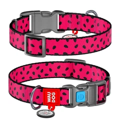 Нашийник WAUDOG Nylon з QR адресником, пластикова пряжка-фастекс "Кавун" M (4823089316772)